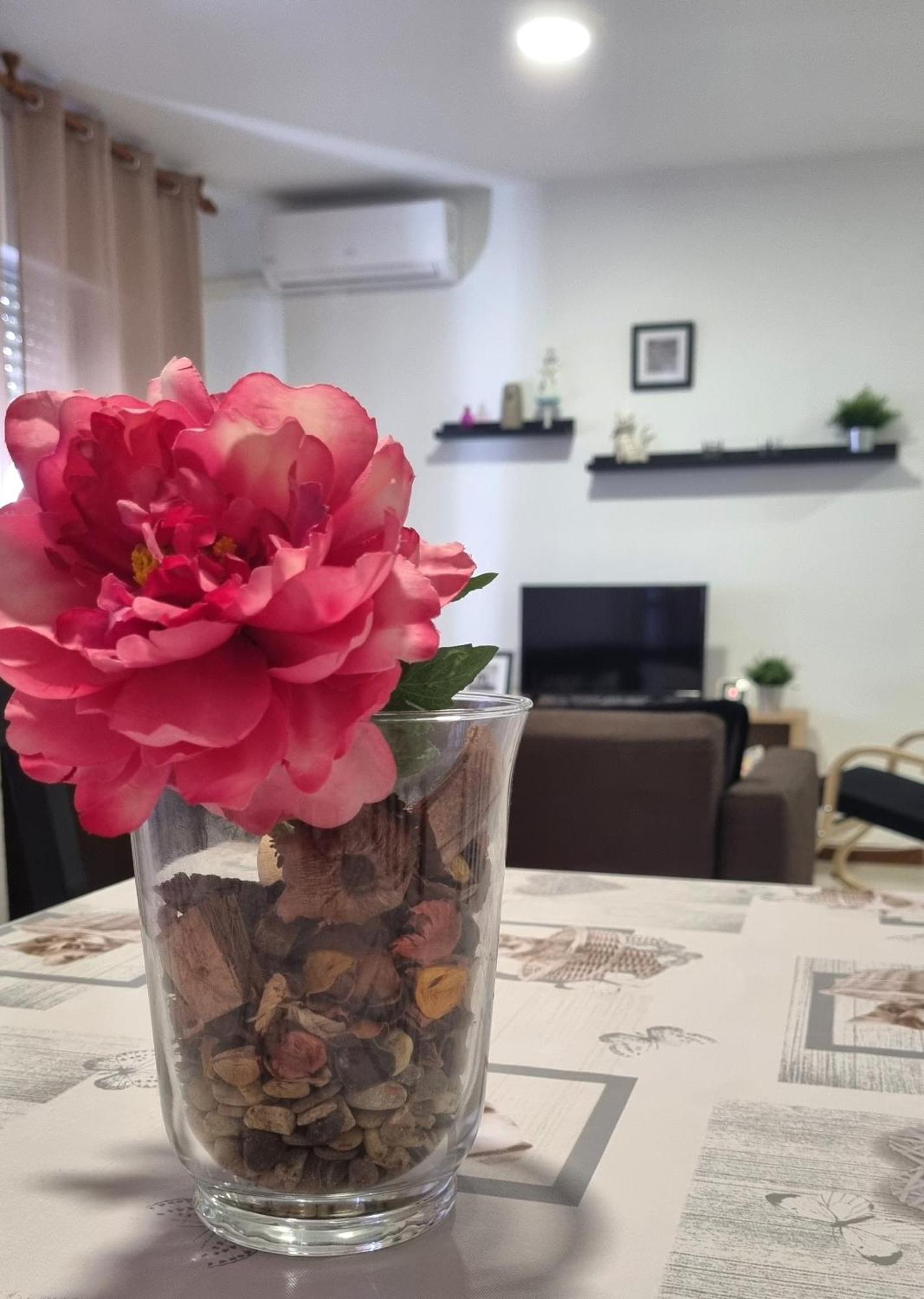 Apartamento Cayetano Rota Exteriör bild